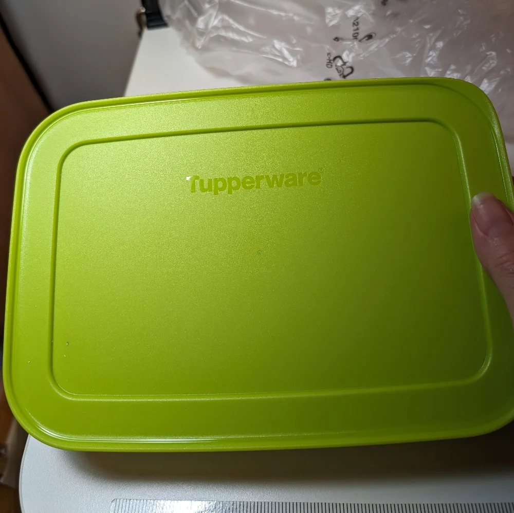 Tupperware Freezer Mates II Medium Plus 4 1/4 C Container, 7869C-2 and 7870B-3